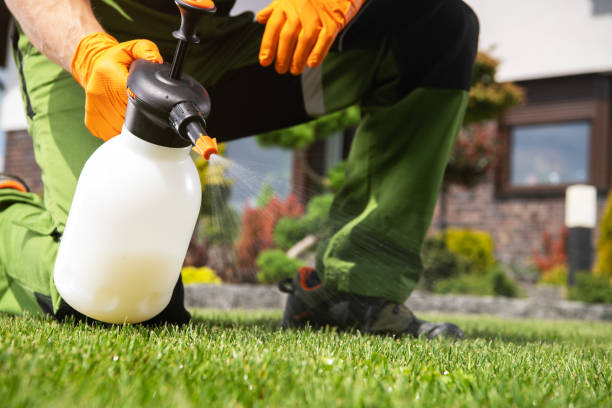 Best Ant Control Services  in Port St John, FL