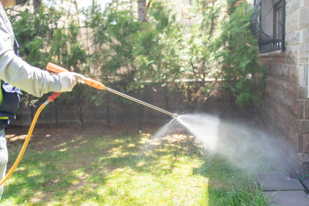 Professional Pest Control in Port St John, FL