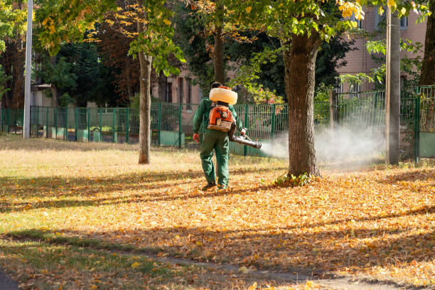 Reliable Port St John, FL Pest Control Solutions