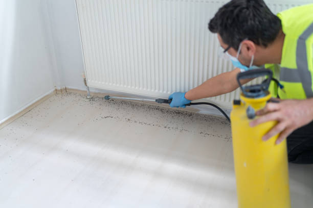 Best Wasp Removal Services  in Port St John, FL