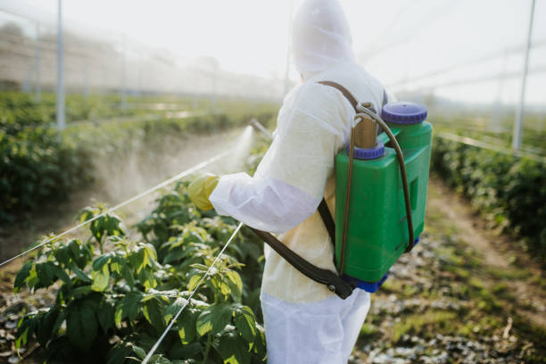 Best Exterminator Services  in Port St John, FL